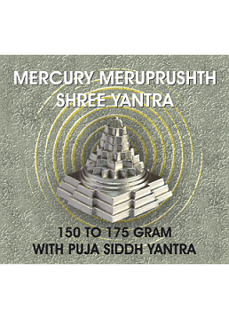 Parad Shree Yantra With Pooja